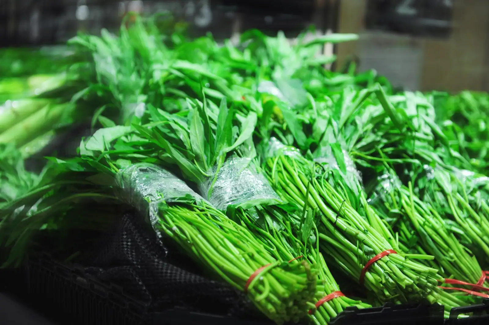 厨房用品供应链质量管控标准与实施要点